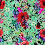 Colour:B