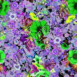 Colour:D