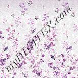 Colour:B