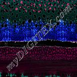 Colour:F