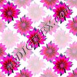 Colour:B