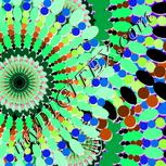 Colour:F