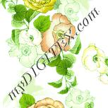 Colour:K