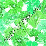 Colour:C