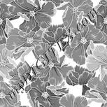 Colour:E