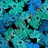 Colour:F