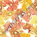 Colour:K