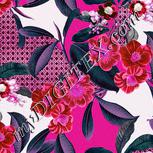 Colour:B