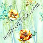 Colour:K