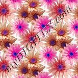 Colour:B