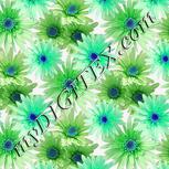 Colour:C