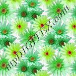 Colour:D