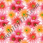Colour:J