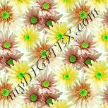Colour:K