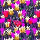 Colour:B