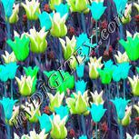 Colour:C