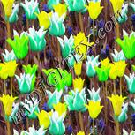 Colour:D