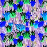 Colour:F