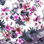 Colour:B