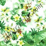 Colour:K