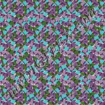 Colour:C