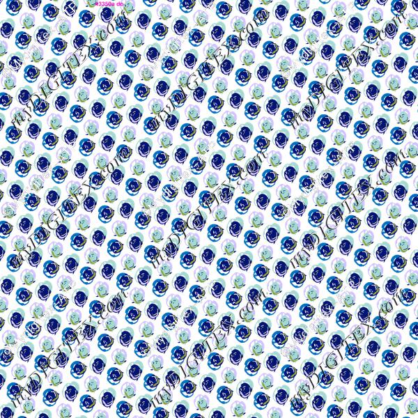 D049624