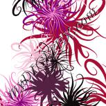Colour:B