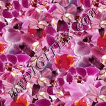 Colour:A