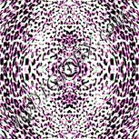 Colour:K