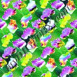 Colour:K