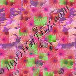 Colour:B
