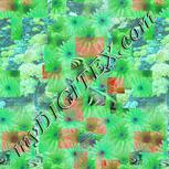 Colour:C