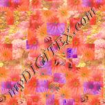 Colour:J