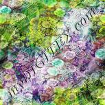Colour:D