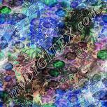 Colour:F