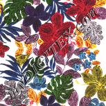 Colour:A