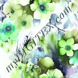 Colour:C