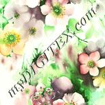 Colour:K