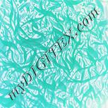 Colour:F