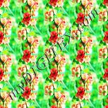 Colour:K