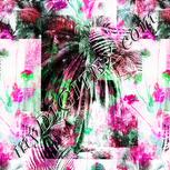 Colour:B
