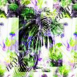 Colour:D