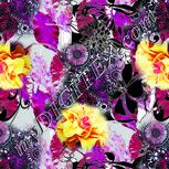 Colour:B