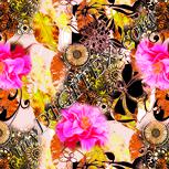 Colour:J