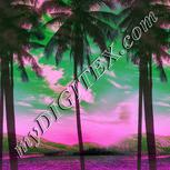 Colour:B