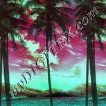 Colour:C