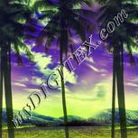 Colour:D