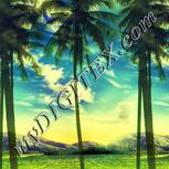 Colour:K