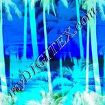 Colour:F