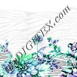 Colour:D
